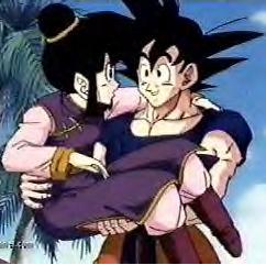 db5.jpg — preserved image from DBZ Moms