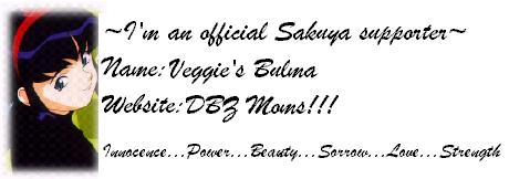 veggiessupport.jpg — preserved image from DBZ Moms