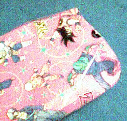 wpaper.JPG — preserved image from DBZ Moms